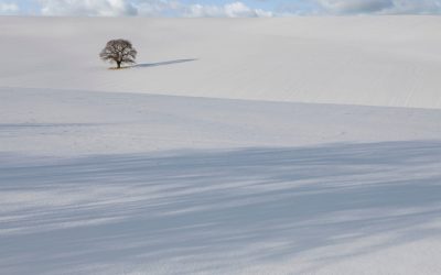 Najniža temperatura u prirodi